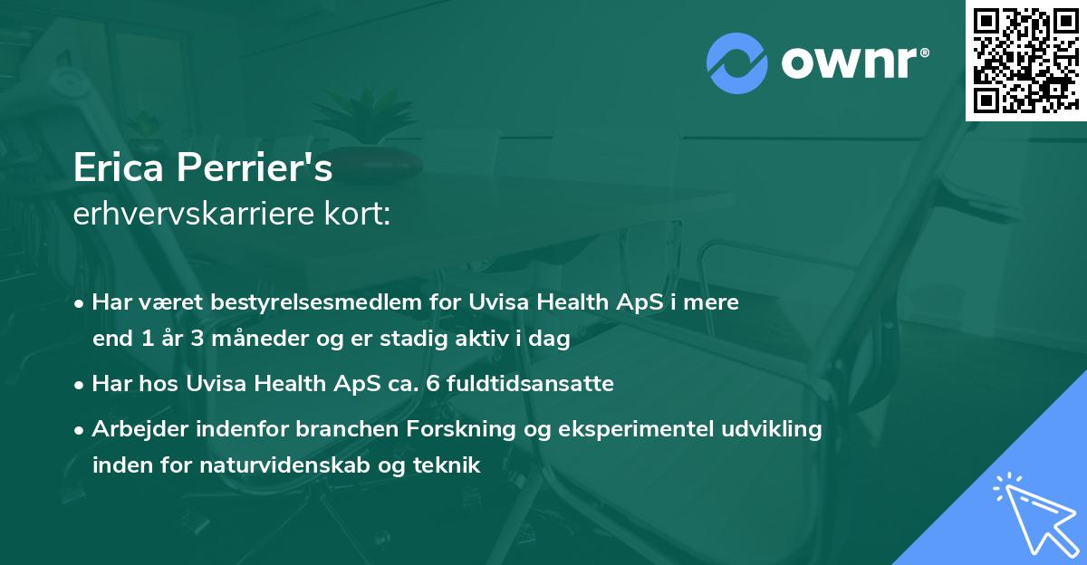 Erica Perrier's erhvervskarriere kort