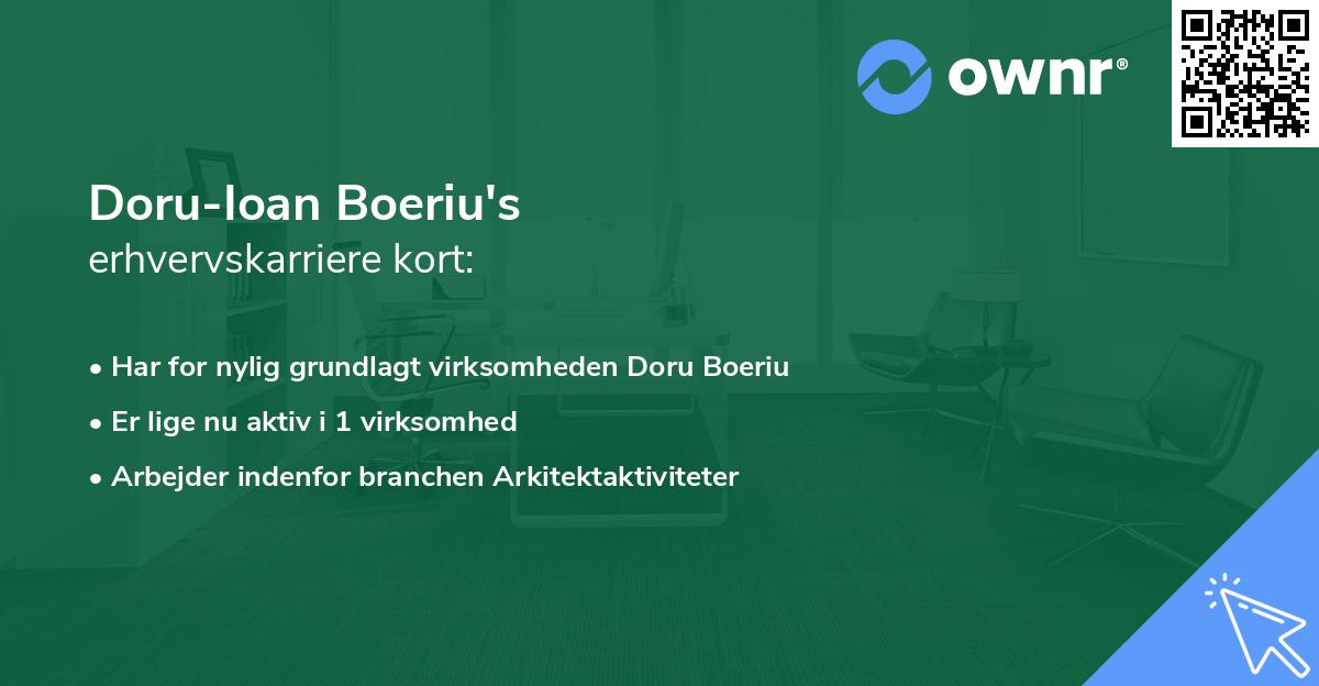 Doru-Ioan Boeriu's erhvervskarriere kort