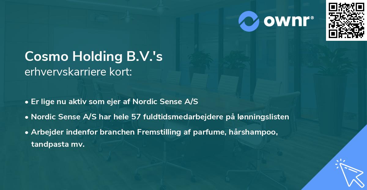 Cosmo Holding B.V.'s erhvervskarriere kort