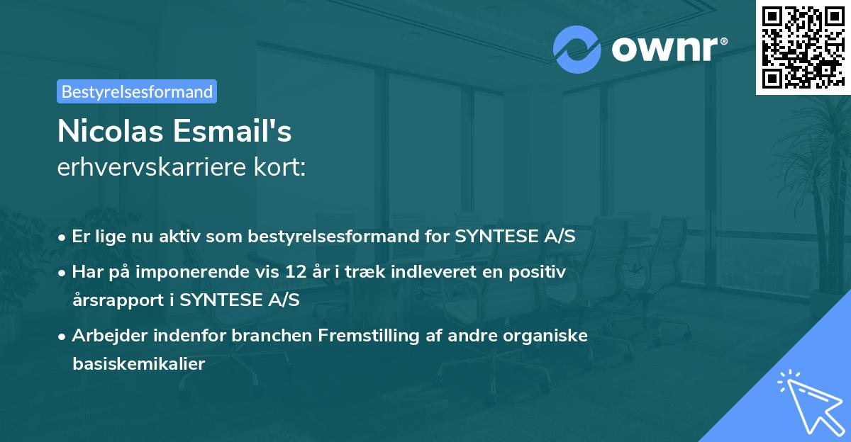 Nicolas Esmail's erhvervskarriere kort