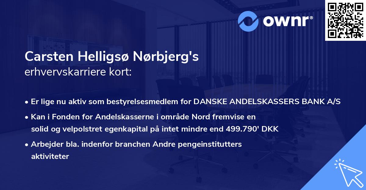 Carsten Helligsø Nørbjerg's erhvervskarriere kort