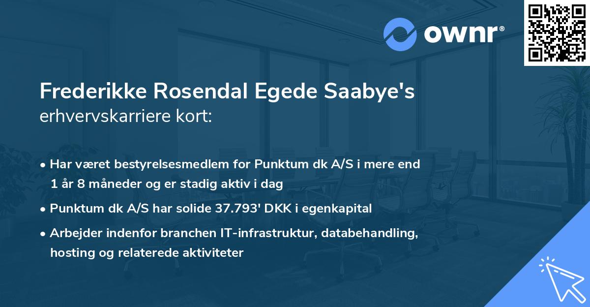 Frederikke Rosendal Egede Saabye's erhvervskarriere kort