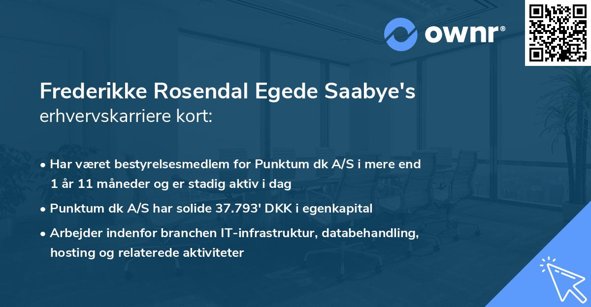 Frederikke Rosendal Egede Saabye's erhvervskarriere kort