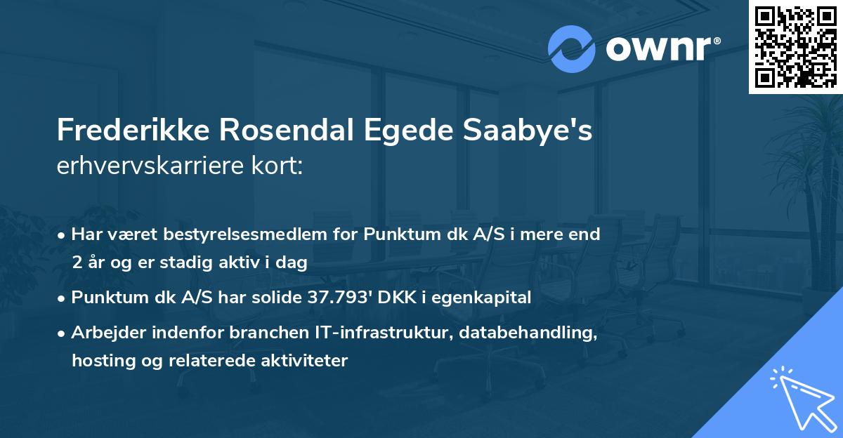Frederikke Rosendal Egede Saabye's erhvervskarriere kort