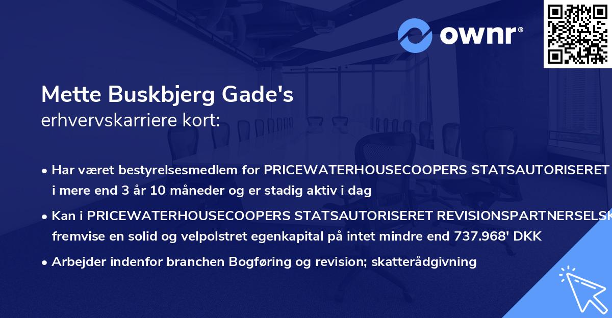 Mette Buskbjerg Gade's erhvervskarriere kort