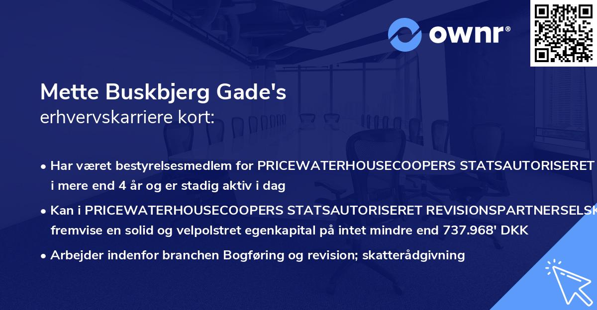 Mette Buskbjerg Gade's erhvervskarriere kort