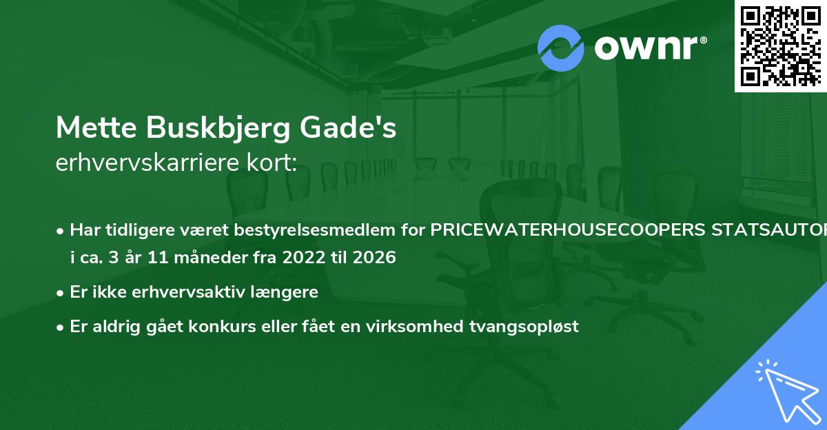 Mette Buskbjerg Gade's erhvervskarriere kort