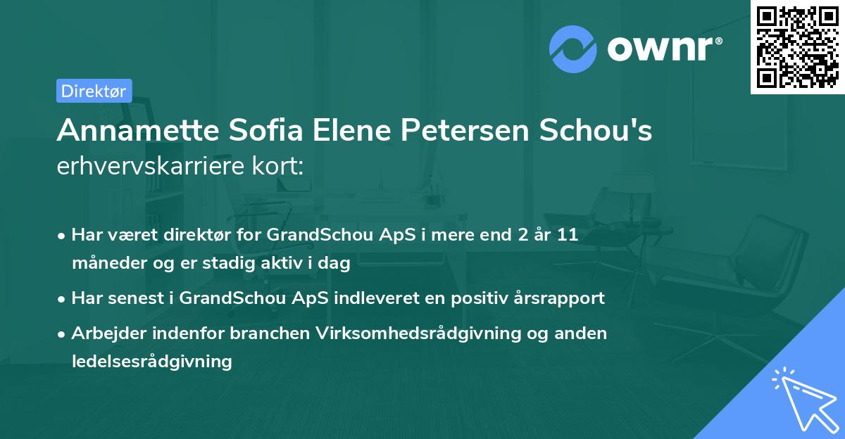 Annamette Sofia Elene Petersen Schou's erhvervskarriere kort