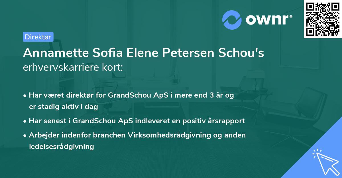 Annamette Sofia Elene Petersen Schou's erhvervskarriere kort