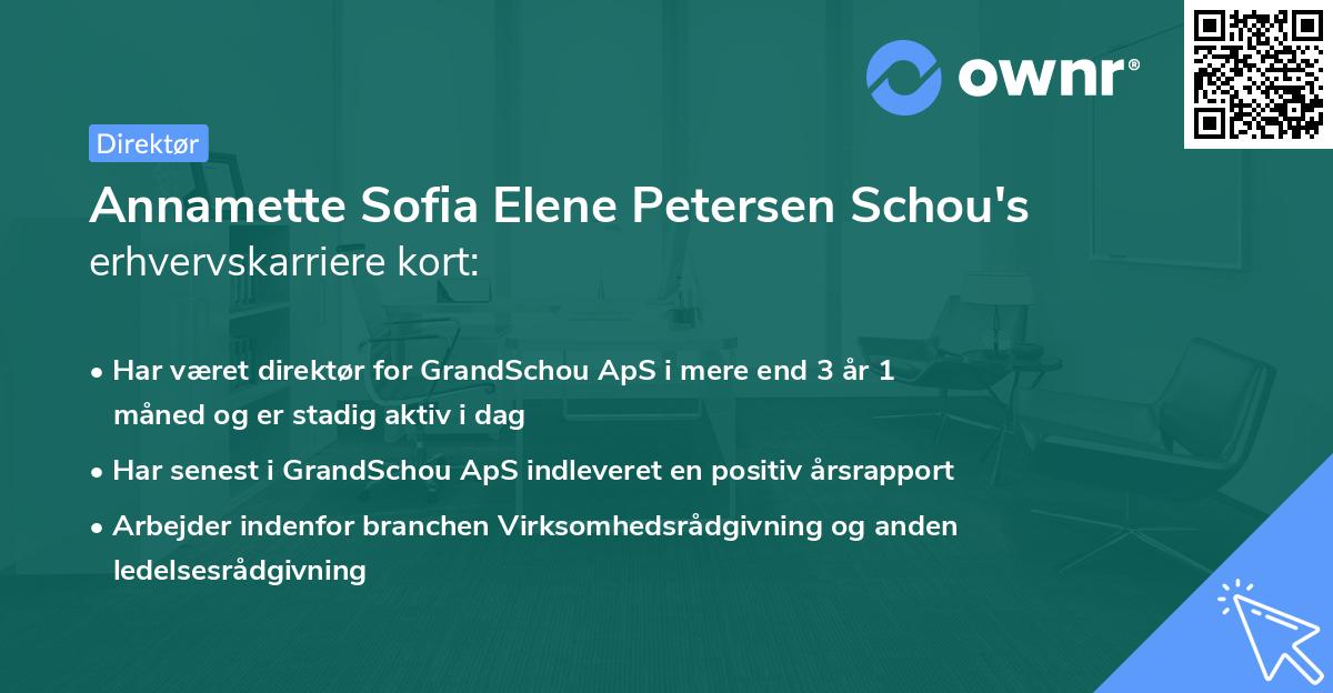 Annamette Sofia Elene Petersen Schou's erhvervskarriere kort