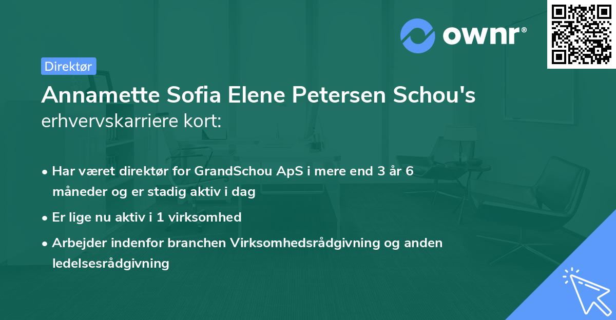 Annamette Sofia Elene Petersen Schou's erhvervskarriere kort