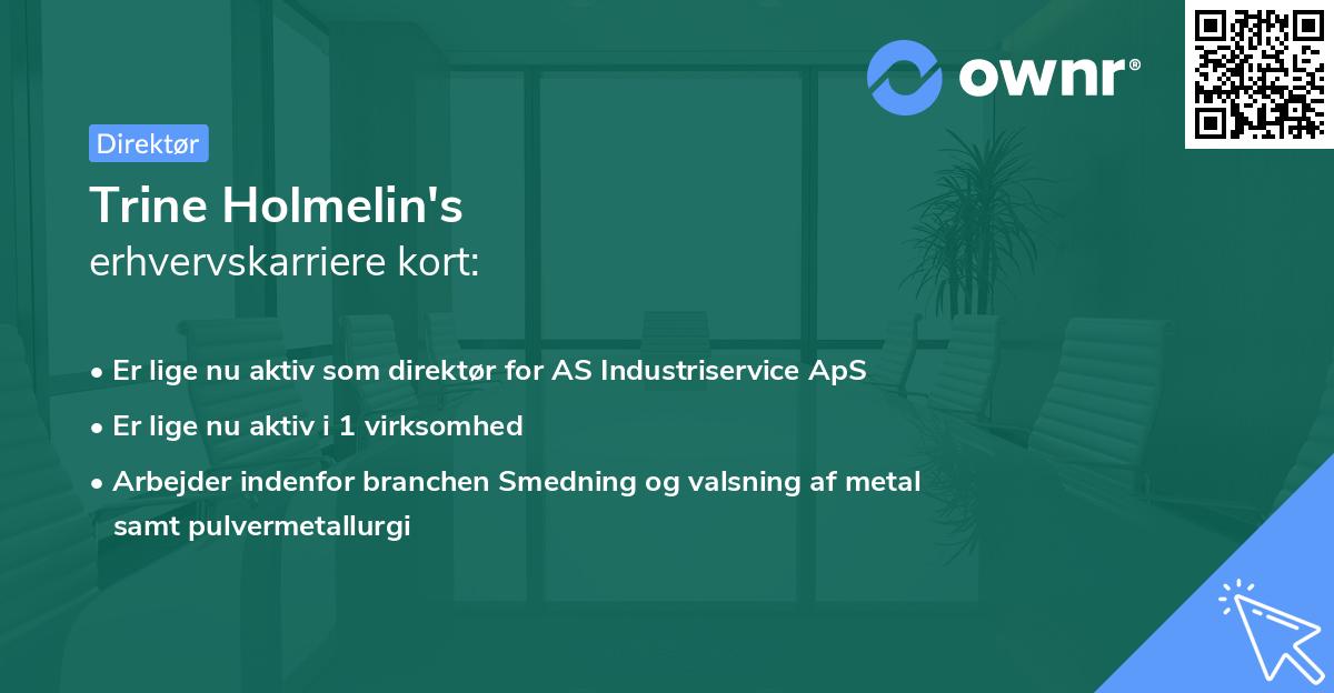 Trine Holmelin's erhvervskarriere kort