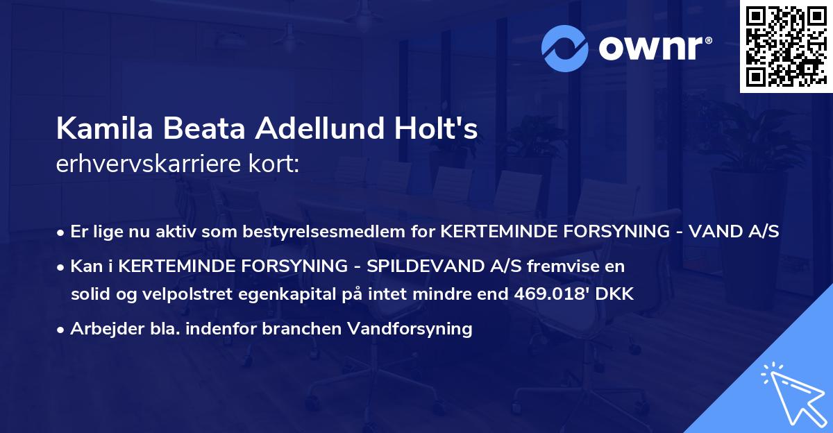 Kamila Beata Adellund Holt's erhvervskarriere kort