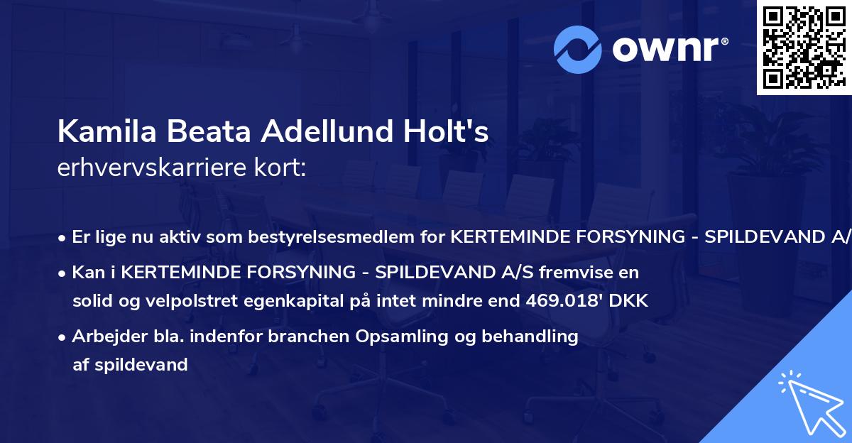 Kamila Beata Adellund Holt's erhvervskarriere kort