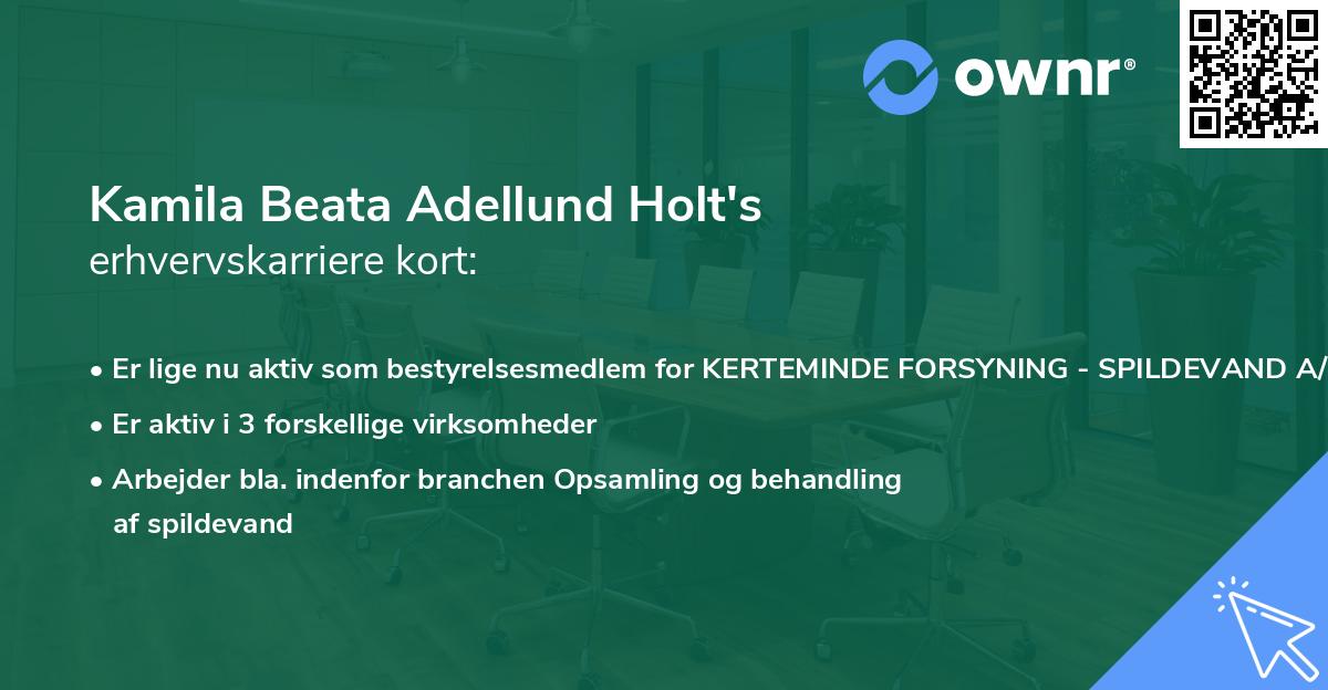Kamila Beata Adellund Holt's erhvervskarriere kort