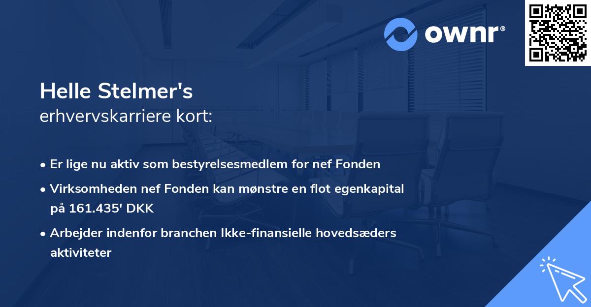 Helle Stelmer's erhvervskarriere kort