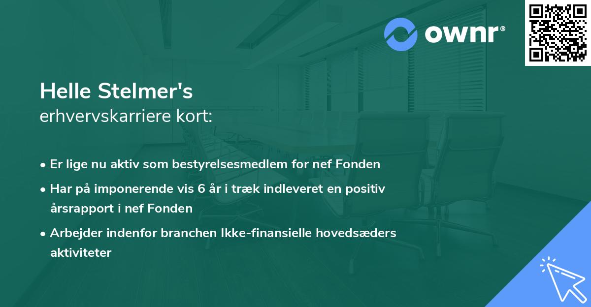 Helle Stelmer's erhvervskarriere kort