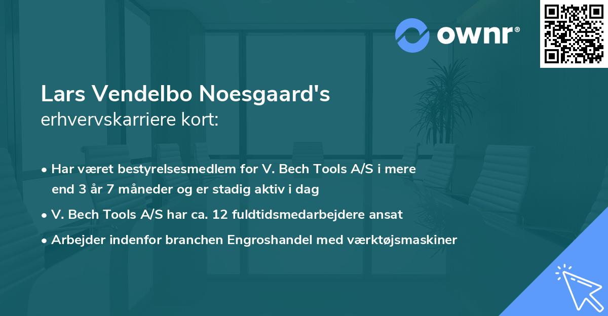 Lars Vendelbo Noesgaard's erhvervskarriere kort