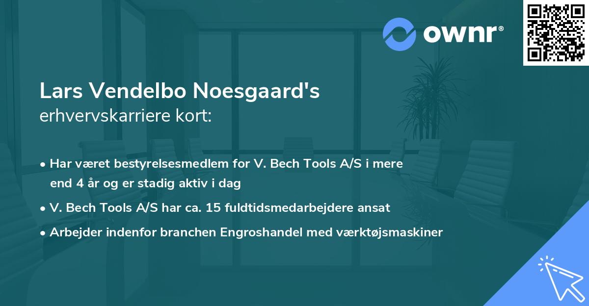 Lars Vendelbo Noesgaard's erhvervskarriere kort