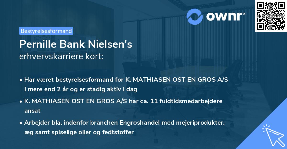 Pernille Bank Nielsen's erhvervskarriere kort