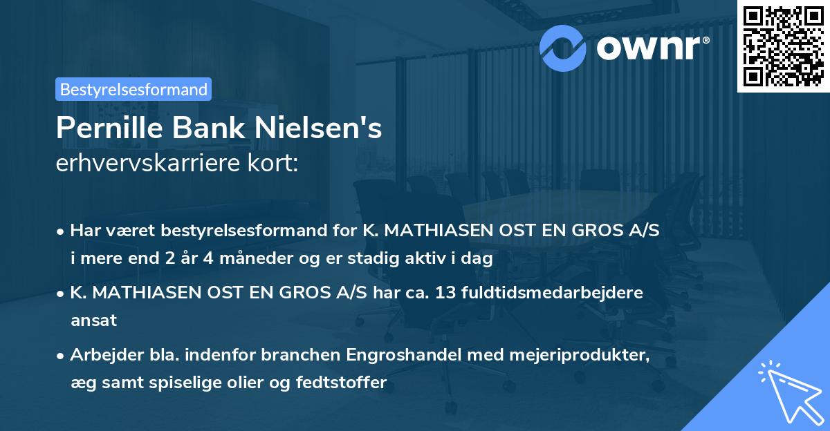 Pernille Bank Nielsen's erhvervskarriere kort