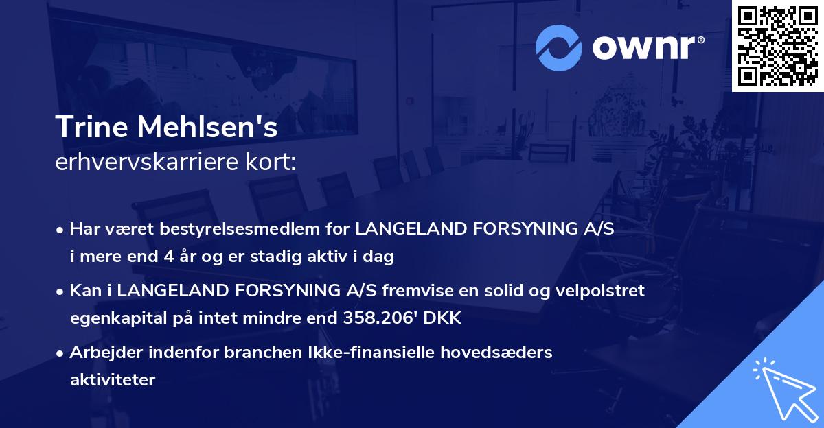 Trine Mehlsen's erhvervskarriere kort