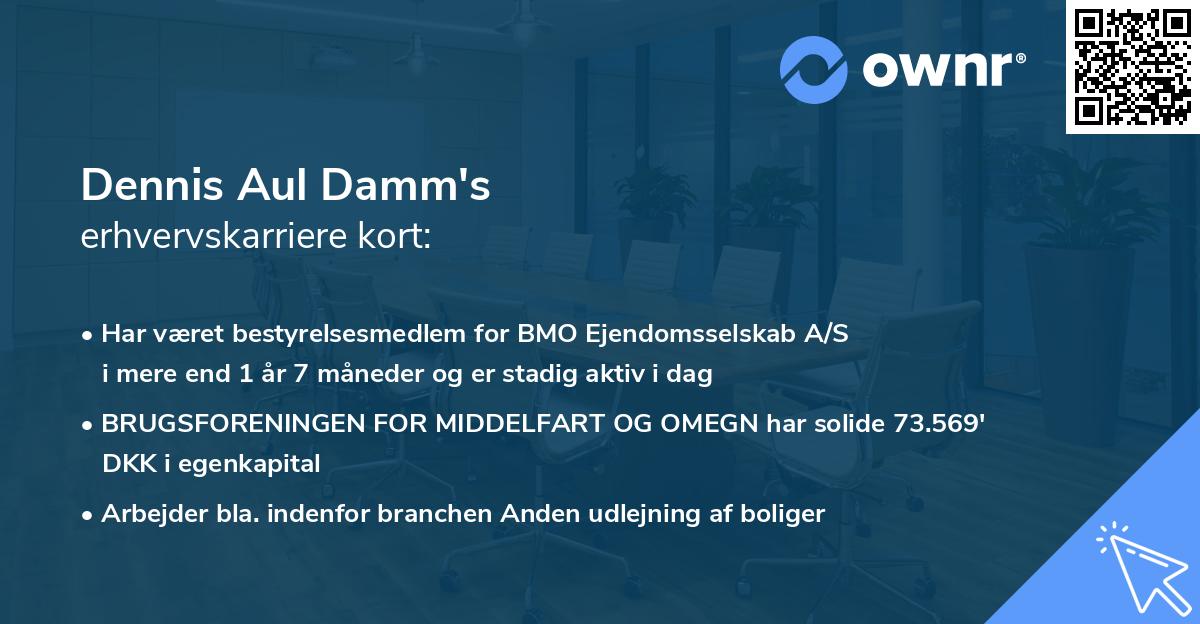 Dennis Aul Damm's erhvervskarriere kort