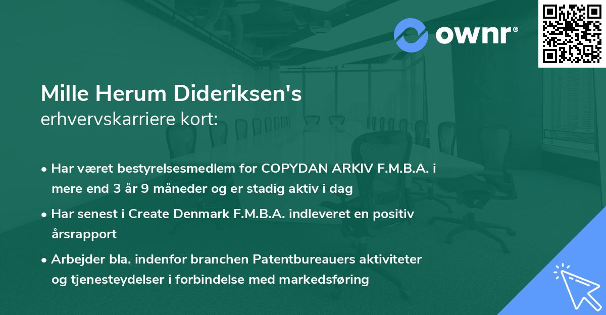 Mille Herum Dideriksen's erhvervskarriere kort