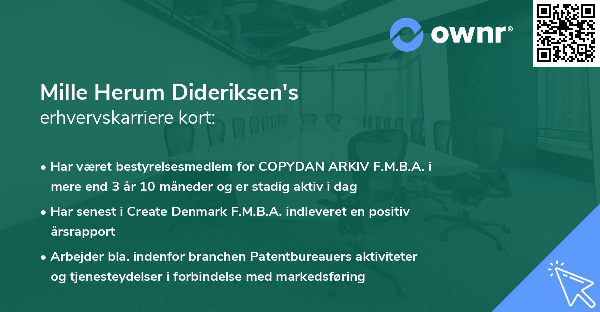 Mille Herum Dideriksen's erhvervskarriere kort