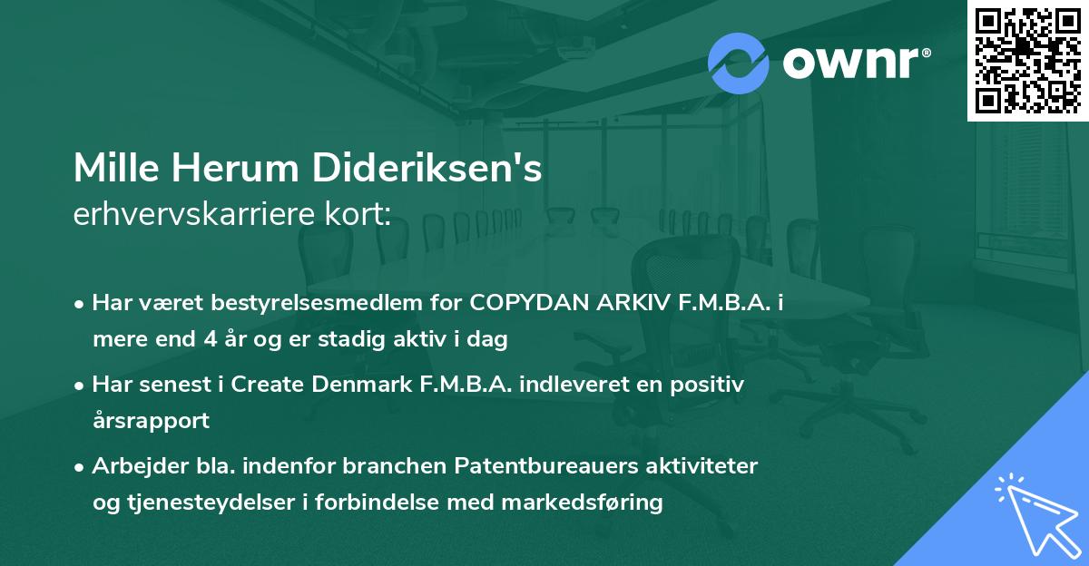 Mille Herum Dideriksen's erhvervskarriere kort