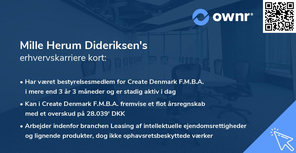 Mille Herum Dideriksen's erhvervskarriere kort