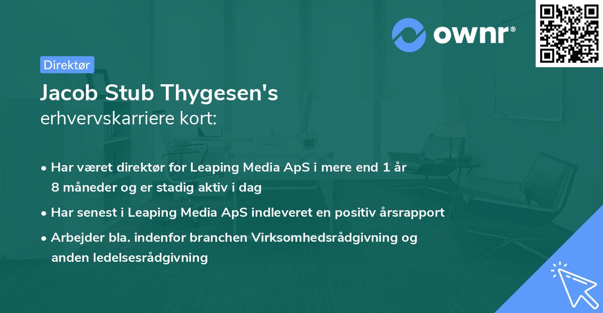 Jacob Stub Thygesen's erhvervskarriere kort