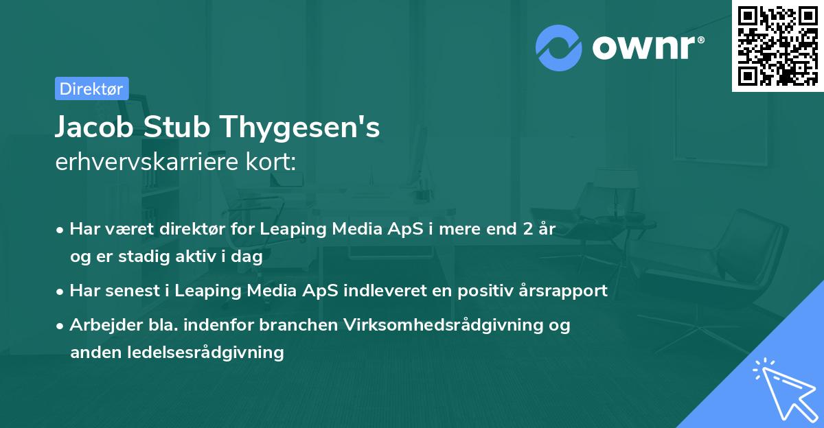 Jacob Stub Thygesen's erhvervskarriere kort