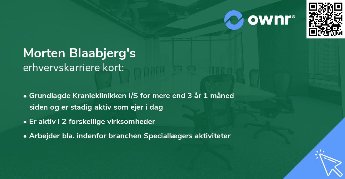 Morten Blaabjerg's erhvervskarriere kort