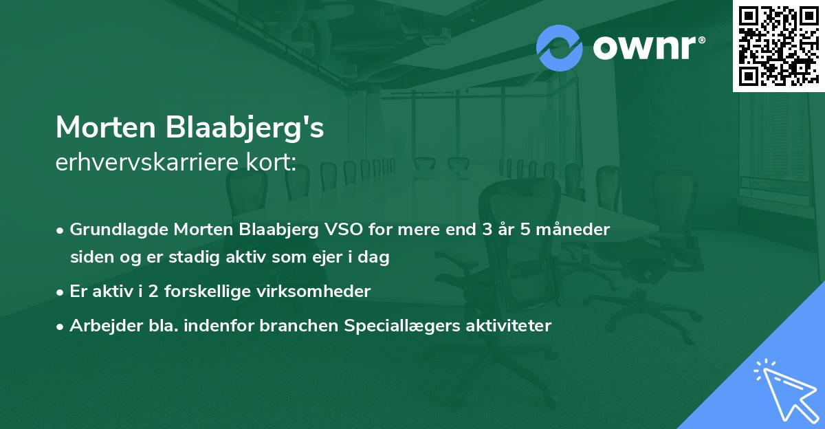 Morten Blaabjerg's erhvervskarriere kort