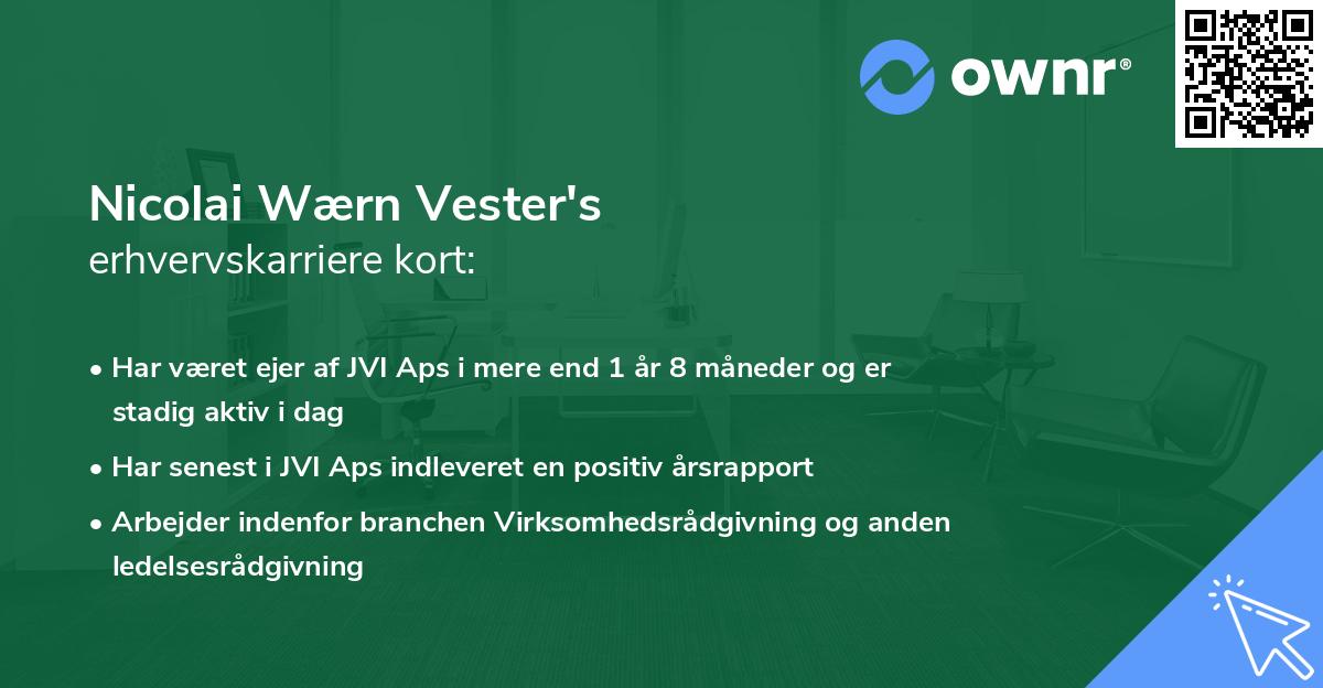 Nicolai Wærn Vester's erhvervskarriere kort