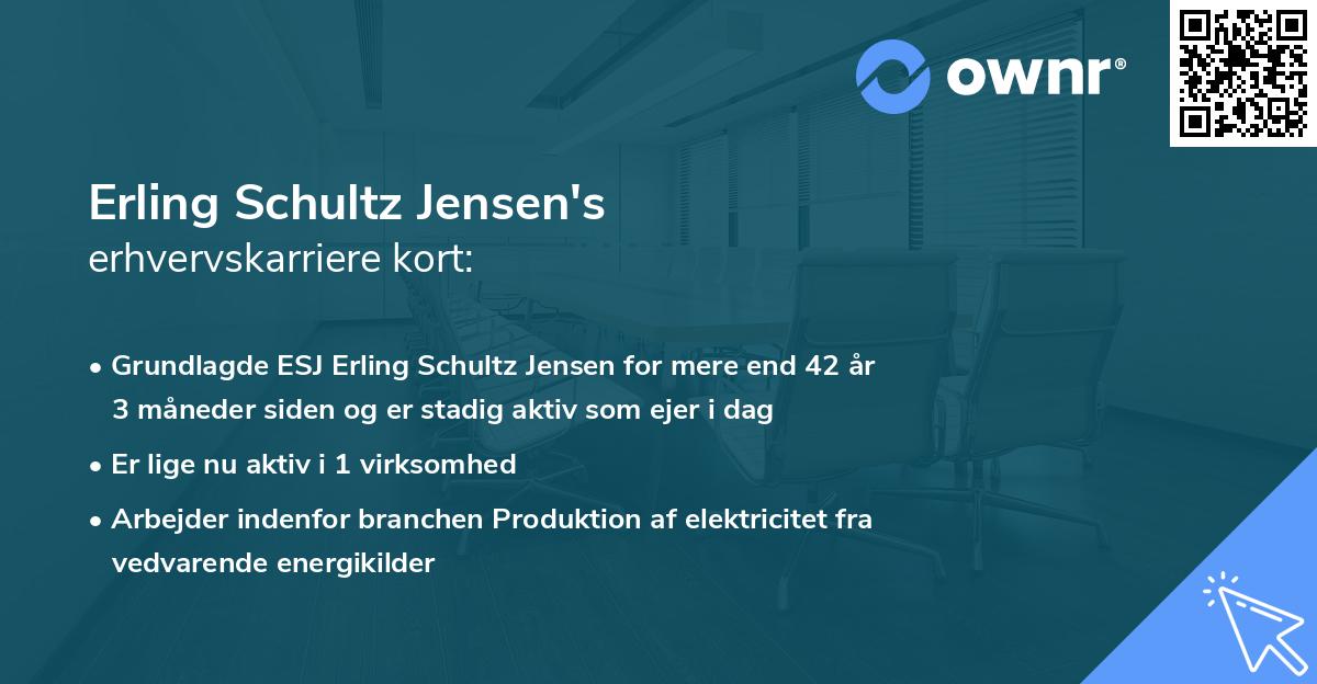 Erling Schultz Jensen's erhvervskarriere kort