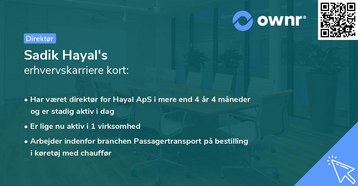 Sadik Hayal's erhvervskarriere kort