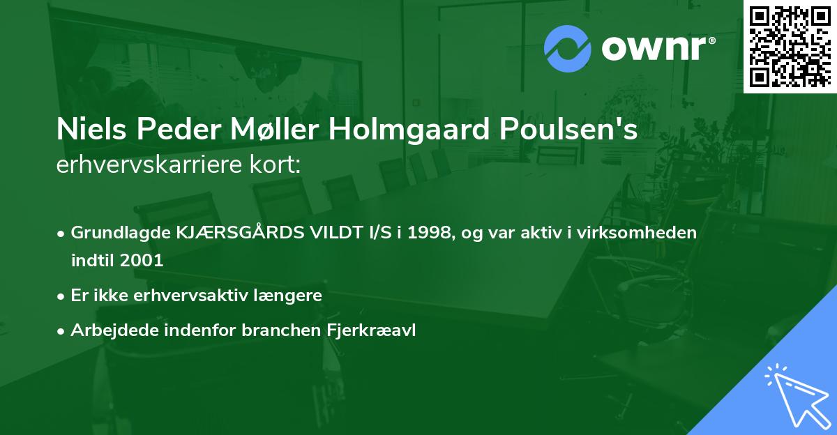 Niels Peder Møller Holmgaard Poulsen's erhvervskarriere kort