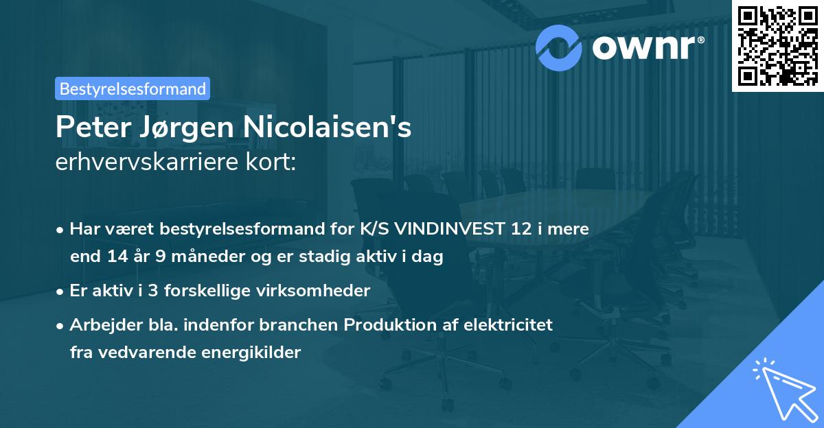 Peter Jørgen Nicolaisen's erhvervskarriere kort