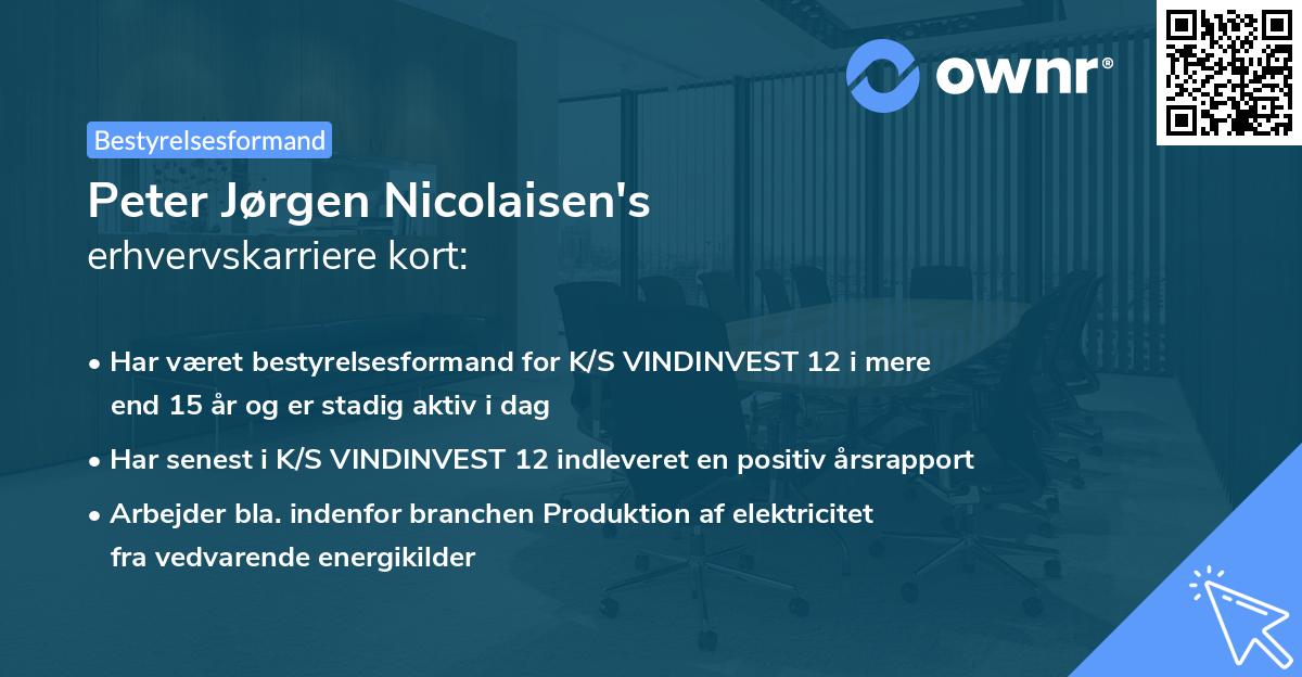Peter Jørgen Nicolaisen's erhvervskarriere kort