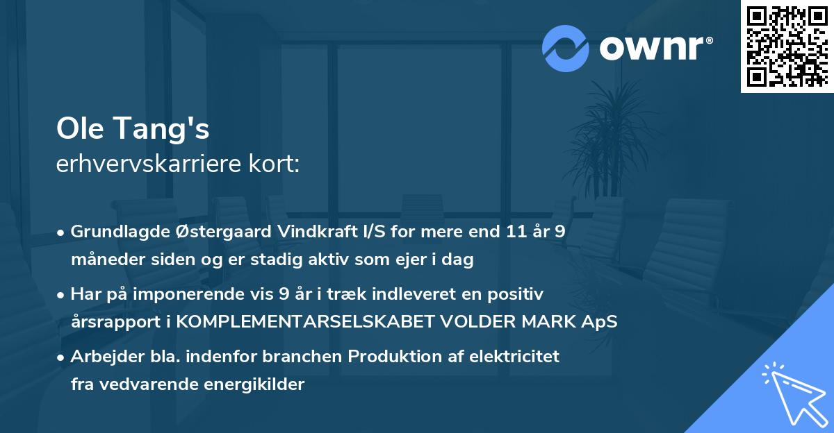 Ole Tang's erhvervskarriere kort