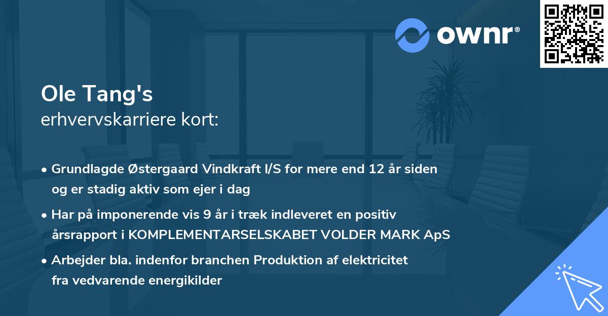 Ole Tang's erhvervskarriere kort
