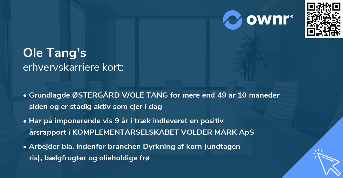 Ole Tang's erhvervskarriere kort