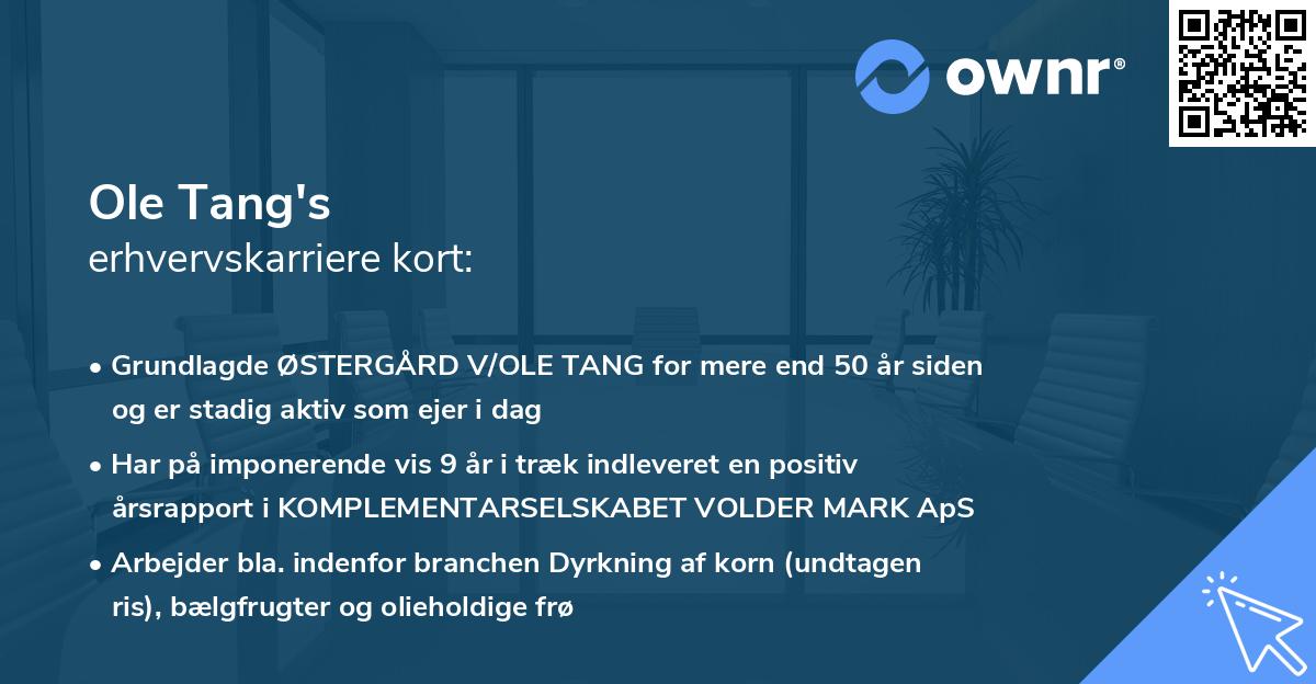 Ole Tang's erhvervskarriere kort