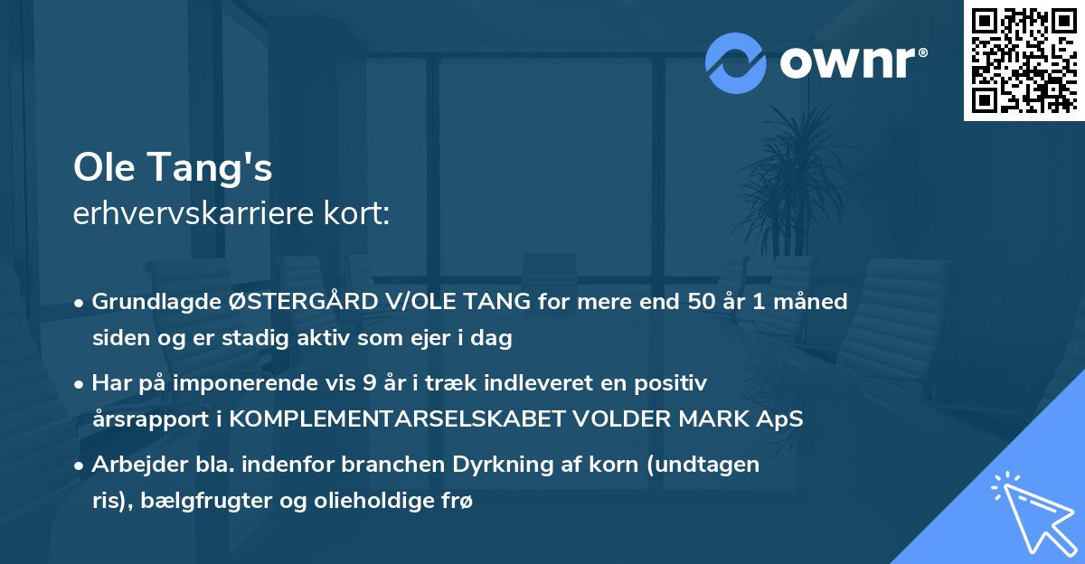 Ole Tang's erhvervskarriere kort