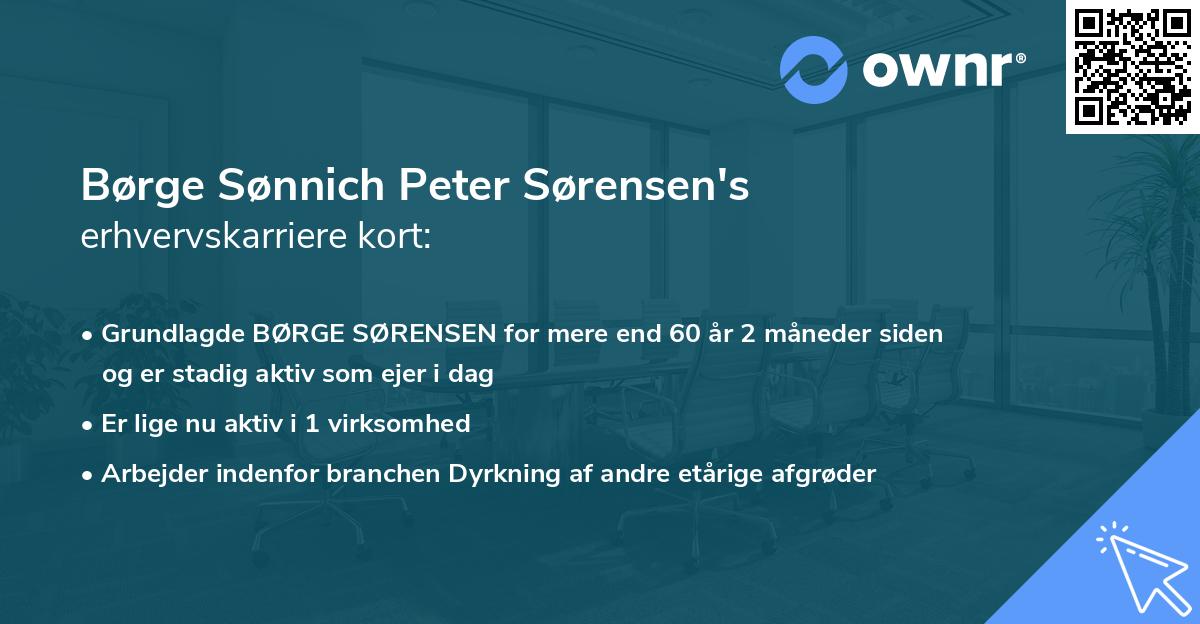 Børge Sønnich Peter Sørensen's erhvervskarriere kort