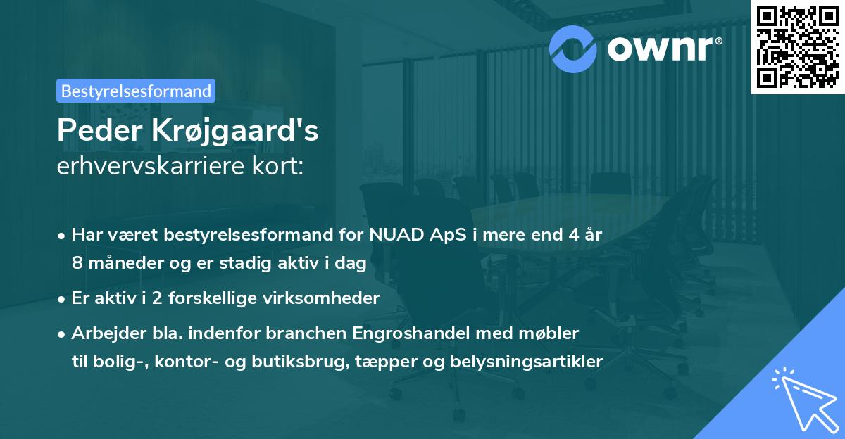Peder Krøjgaard's erhvervskarriere kort