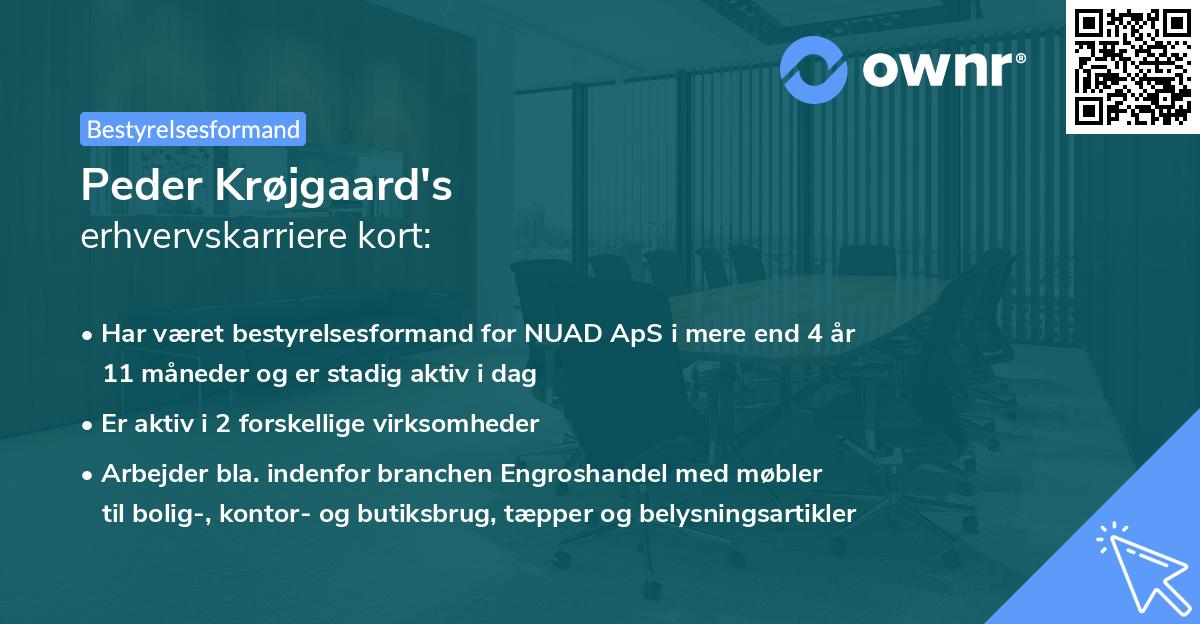 Peder Krøjgaard's erhvervskarriere kort