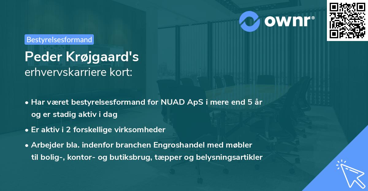 Peder Krøjgaard's erhvervskarriere kort